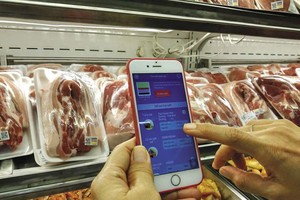 Các cơ sở sản xuất, kinh doanh thực phẩm phải thường xuyên thiết lập và lưu trữ đầy đủ thông tin liên quan trong suốt quá trình hoạt động dưới dạng cơ sở dữ liệu.