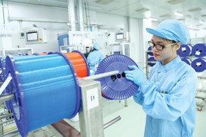 Doanh nghiệp cần đưa quản trị thuế vào cấu trúc quản trị cấp cao để tránh rủi ro