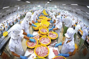 Thủy sản là một trong những ngành có kim ngạch xuất khẩu lớn sang Mỹ, các doanh nghiệp đã quen với áp lực thuế từ thị trường này 