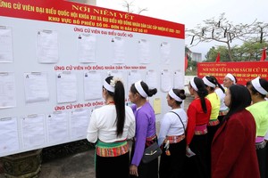 Ninh Bình: Đến 15 giờ 30 phút ngày 15/3, hơn 96,6% cử tri tham gia bỏ phiếu 