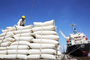 Thủ tướng Chính phủ yêu cầu tập trung thực hiện các nhiệm vụ, giải pháp trọng tâm để thúc đẩy xuất khẩu.