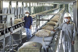 Xi măng là một trong những ngành chịu ảnh hưởng không nhỏ từ việc tăng giá xăng dầu