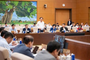 Bộ trưởng Bộ Nội vụ Đỗ Thanh Bình trình bày tờ trình. 