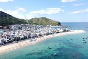 Khu vực Nhơn Lý sẽ được triển khai mô hình cảng cá kết hợp phát triển du lịch, hình thành các sản phẩm du lịch đặc trưng. 