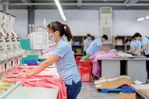 Tăng cường tiết giảm chi phí là giải pháp trọng tâm của May Sông Hồng trong năm 2026