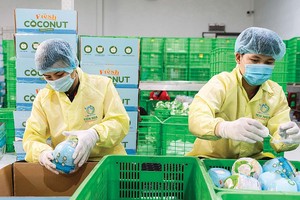 Xuất khẩu nông, lâm, thủy sản được đánh giá vẫn còn dư địa tăng trưởng (Ảnh: P.V) 