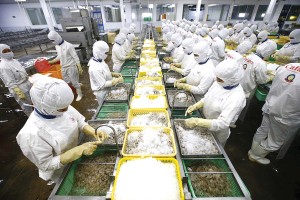 Xuất khẩu đang chịu sức ép lớn trước biến động địa chính trị thế giới. Trong ảnh: Thủy sản là mặt hàng xuất khẩu quan trọng của Việt Nam (Ảnh: Đức Thanh)