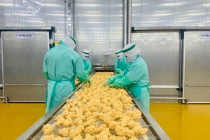 Xuất khẩu sản phẩm động vật có thể tiến vào “câu lạc bộ tỷ USD” 