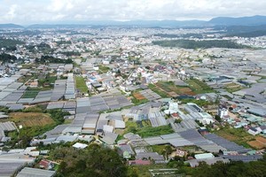 Lâm Đồng sẽ kiểm tra, rà soát toàn bộ các hồ sơ, tài liệu, bản đồ về đất đai, lâm nghiệp để tiến hành bàn giao, cập nhật vào hệ thống cơ sở dữ liệu dùng chung cho toàn tỉnh. Ảnh: Linh Đan