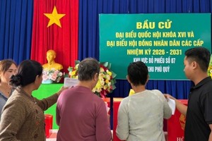 Cử tri cả nước đã bầu đủ 500 đại biểu Quốc hội khóa XVI.