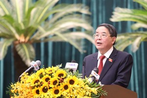 Phó chủ tịch Quốc hội Nguyễn Đức Hải phát biểu tại kỳ họp. Ảnh: Trọng Tín.