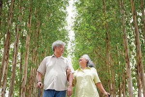 Việt Nam có đầy đủ thế mạnh để trở thành “thiên đường” nghỉ dưỡng của dòng khách hưu trí (Ảnh: P.V)