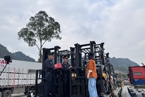 Công chức Hải quan khu vực VI kiểm tra hàng hoá nhập khẩu. Ảnh: Hồng Vân.