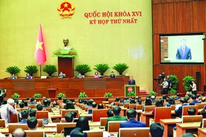 Tân Thủ tướng Chính phủ Lê Minh Hưng phát biểu nhậm chức. Ảnh: Đức Thanh