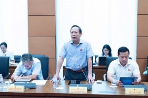 Đại biểu Nguyễn Đình Xuân phát biểu tại tổ. 