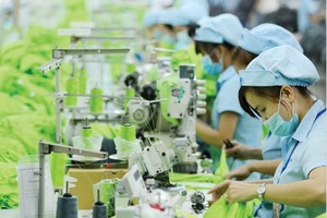 Bồi đắp năng lực để doanh nghiệp Việt bứt tốc trong “chuyển đổi kép” 