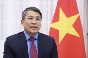 Thứ trưởng Bộ Ngoại giao Nguyễn Minh Vũ.