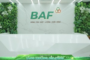 BAF đệ trình phương án chi trả cổ tức và phát hành cổ phiếu thưởng với tỷ lệ 20% 