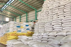 TP.HCM ứng phó với biến động cung cầu gạo do xung đột địa chính trị, xăng dầu 