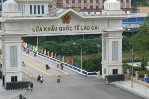 Xuất nhập khẩu hàng hóa qua cửa khẩu Lào Cai - Hà Khẩu tăng mạnh 