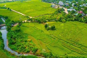 Chuyển gần 600 ha rừng tại Lương Sơn làm 3 dự án đô thị hơn 8.000 tỷ đồng 