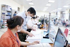 Tập trung triển khai nhiệm vụ trọng tâm về tổ chức bộ máy, công vụ, công chức.