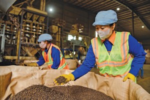 Hiện có 198 ngành nghề kinh doanh có điều kiện và 4.603 điều kiện kinh doanh