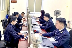 Chính phủ giao Bộ Tài chính chủ trì soạn thảo Luật sửa đổi, bổ sung một số điều của Luật Hải quan (trình Chính phủ hồ sơ dự án trước ngày 10/7/2026).