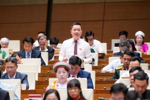 Đại biểu Trịnh Xuân An tham gia thảo luận. 