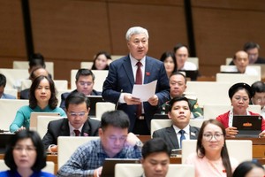 Đại biểu Trần Văn Lâm phát biểu tại hội trường.