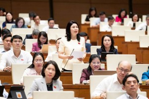 Đại biểu Trần Thị Vân tham gia thảo luận.