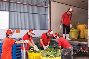 Khi áp lực lan rộng, doanh nghiệp cần giải pháp đồng bộ về chính sách và thị trường (Ảnh: P.V)