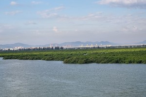 Quảng Ninh nghiên cứu, lựa chọn phương án tối ưu đầu tư xây dựng cầu Cửa Lục 2 