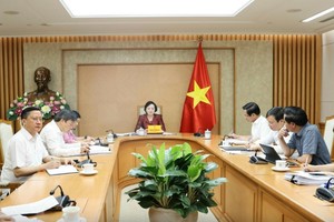 Bí thư Trung ương Đảng, Phó Thủ tướng Chính phủ Phạm Thị Thanh Trà chủ trì cuộc họp - Ảnh: VGP