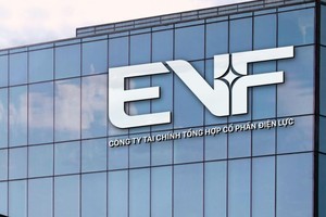 EVF xác định 4 trụ cột quan trọng trên hành trình trở thành công ty tỷ USD.