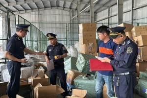 Hải quan khu vực VI lập “lá chắn thép” chống hàng giả nơi biên giới 