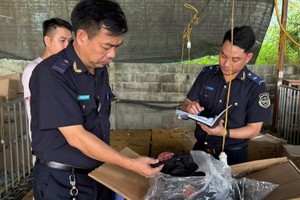Công chức hải quan kiểm đếm hàng hoá vi phạm.