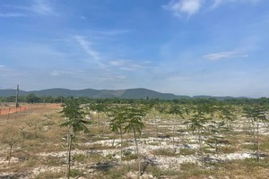 Khu vực thực hiện Dự án Đầu tư xây dựng kết cấu hạ tầng Khu công nghiệp Tam Anh 1 với tổng vốn đầu tư 1.500 tỷ đồng.