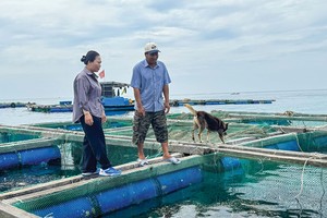 Ở đảo, cán bộ ngân hàng là người đồng hành với bà con trong cuộc mưu sinh. Trong ảnh: Bà Lê Thị Của, Giám đốc Agribank Chi nhánh Lý Sơn thăm lồng bè của gia đình anh Huỳnh Ngọc Thảo, thôn Đông An Hải, Đặc khu Lý Sơn 