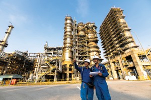 Trên sàn chứng khoán, có nhiều doanh nghiệp nhà nước quy mô lớn chưa đáp ứng tiêu chí về công ty đại chúng như Petrolimex, BSR, GAS