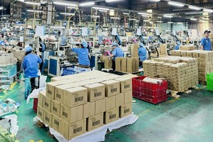Nhựa Sinh Thái Việt Nam (ECO): Áp lực chi phí trước niêm yết