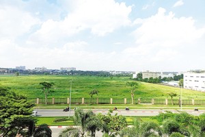 Một khu đất tại Khu Công nghệ cao TP.HCM chưa đưa vào sử dụng - Ảnh minh họa