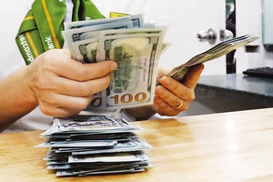 Tỷ giá VND/USD đang đứng im so với đầu năm 