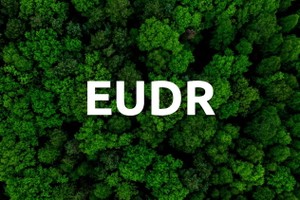 EUDR tác động đến việc xuất khẩu nông sản Việt Nam vào thị trường EU, đặc biệt là cà phê, cao su và gỗ.