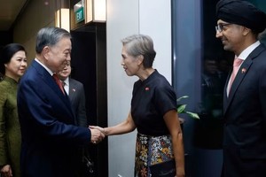 Cán bộ, nhân viên Đại sứ quán và cộng đồng người Việt Nam tại Singapore đón Tổng Bí thư, Chủ tịch nước Tô Lâm và Phu nhân. (Ảnh: Thống Nhất/TTXVN)