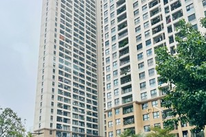 Nguồn vốn phát triển quỹ nhà ở an sinh được hình thành từ ngân sách thành phố, nguồn thu từ quỹ đất, tiền nghĩa vụ nhà ở xã hội của doanh nghiệp, nguồn bán tài sản công và các nguồn xã hội hóa