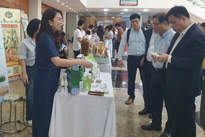 Xây dựng hệ sinh thái hỗ trợ doanh nghiệp nhỏ và vừa toàn diện 
