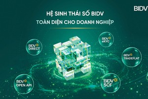 BIDV: Kiến tạo hạ tầng tăng trưởng cho doanh nghiệp