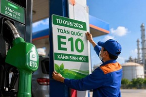 Thương nhân đầu mối và phân phối xăng dầu phải đảm bảo nguồn cung xăng E10 trên toàn quốc. 