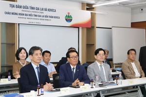 Đại diện các doanh nghiệp thuộc Hiệp hội Kinh tế - Văn hóa Hàn Việt tại buổi làm việc với tỉnh Gia Lai. Ảnh: Trang Lê.
